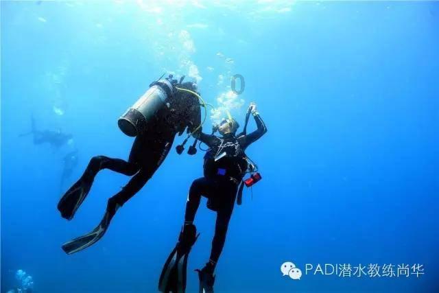 小小忍者疾风传